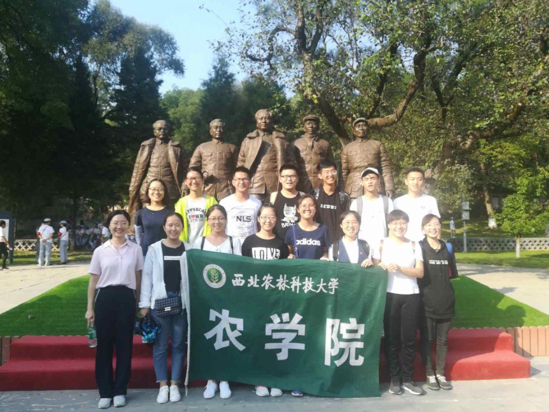 杀戮尖塔